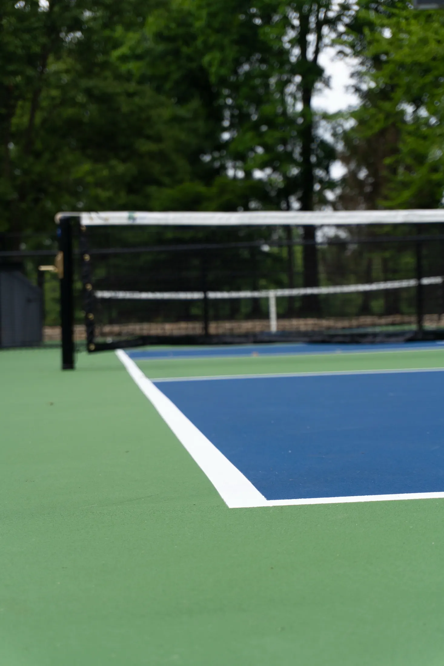 Medallion Pickleball project photo 2