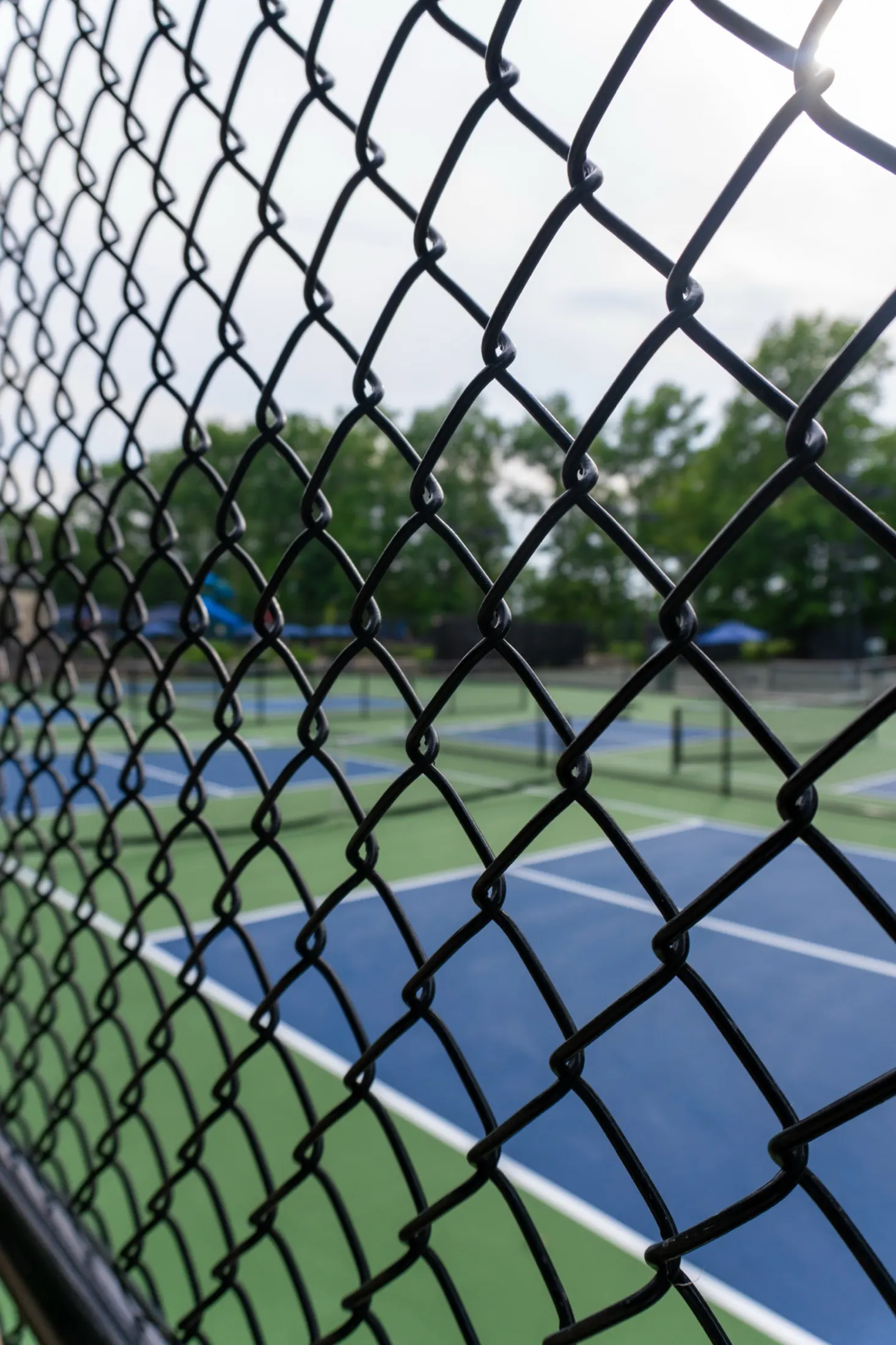 Medallion Pickleball project photo 4